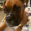 userclare28