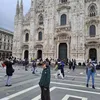 nicazz8