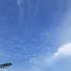 suksesisibanyak