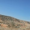 nesibeondr