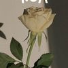 yosha_233