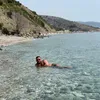 floarbi