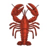 lobsteri10