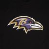 ravens_flock52