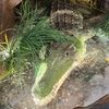 bittergator
