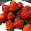 apple_orange_strawberry_