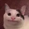 kubeew
