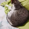 mito.sgyt