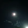 trevormolina1