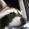 11_hector_11