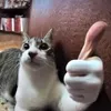 awoogaawoogasoundeffect