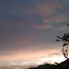 _nufa6