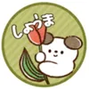 sho_0824s