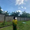 handog287