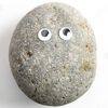 chadrockteschel