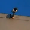 abvgd_kot