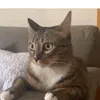mariangelespv65