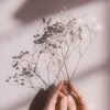 ina129_