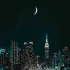 mohamad8812