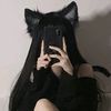 nekofran._