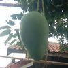 chandra_k.isnan