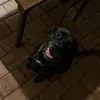 anootherrandomm