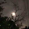 alexa02r1