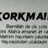 rojinbarismismilalh