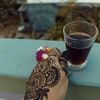 anightowl01
