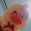 taawithduck