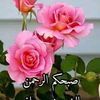 user9023906165976