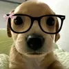 maisxxx6