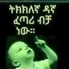 hbtam049