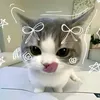 ms_carvsjj