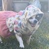 lola_grace.0