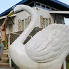 petlover1431