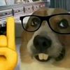 jandryvicente1