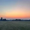 lillycook03