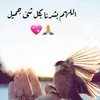 hm_zz2