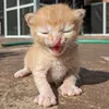 very_eepy