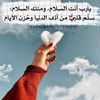 safaanaser23