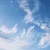 bibi__anca14