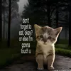 .ejanpatrck