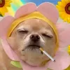 fffleurrr333