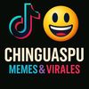 chinguaspu
