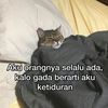 meyccaar
