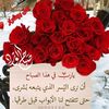 najatlove7
