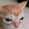 _necromant__