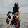 the_stylish_2
