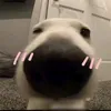 lttnngan211